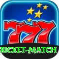 all cricket match Pro Edition v2.3.2