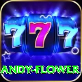 andy flower Master v5.0.5