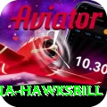 antigua hawksbill Plus v4.4.3