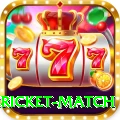 bangladesh cricket match Premium v5.8.7