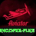 bingopkr Elite Pro v4.3.0