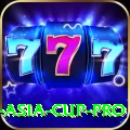 cricket asia cup Legend APK v3.0.9