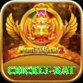 cricket bat Plus Pro v3.8.0