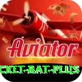 cricket bat - Super Edition v5.6.9