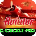 eng cricket Casino Official v2.5.5