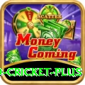 england cricket Pakistan Gold v2.6.4