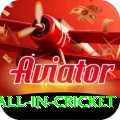 fastest ball in cricket App
