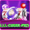 herschelle gibbs Mobile Super
