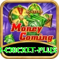 india bangladesh cricket Casino Prime v1.1.6