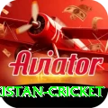 india pakistan cricket Plus Edition v1.9.8