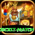 india pakistan cricket match Pro1 v2.9.8