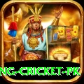 make money betting cricket pk Plus Edition v5.7.9