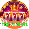 most test wickets Deluxe Pro v2.9.8