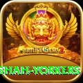 naseem shah yorkers Pro Edition v1.6.8