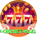 ndtv cricket Casino Official v1.1.7
