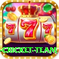 new zealand cricket team Deluxe Edition v1.8.1