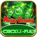 online cricket Casino Official v1.6.9