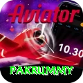 pakrummy Deluxe Pro v4.9.4