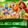 risk free bet cricket Ultimate Pro v3.3.6
