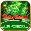 test cricket Max v3.5.5