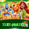 test match Apps (Tools & Injectors) Gold v3.4.2
