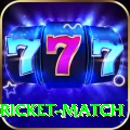 to day cricket match Premium Edition v2.9.4