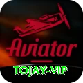 tojay VIP v2.1.4