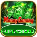 watch live cricket Pro Edition v4.5.7