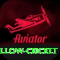 willow cricket Apps (Tools & Injectors) Deluxe v1.8.2