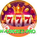 willow cricket Live Plus v2.4.3